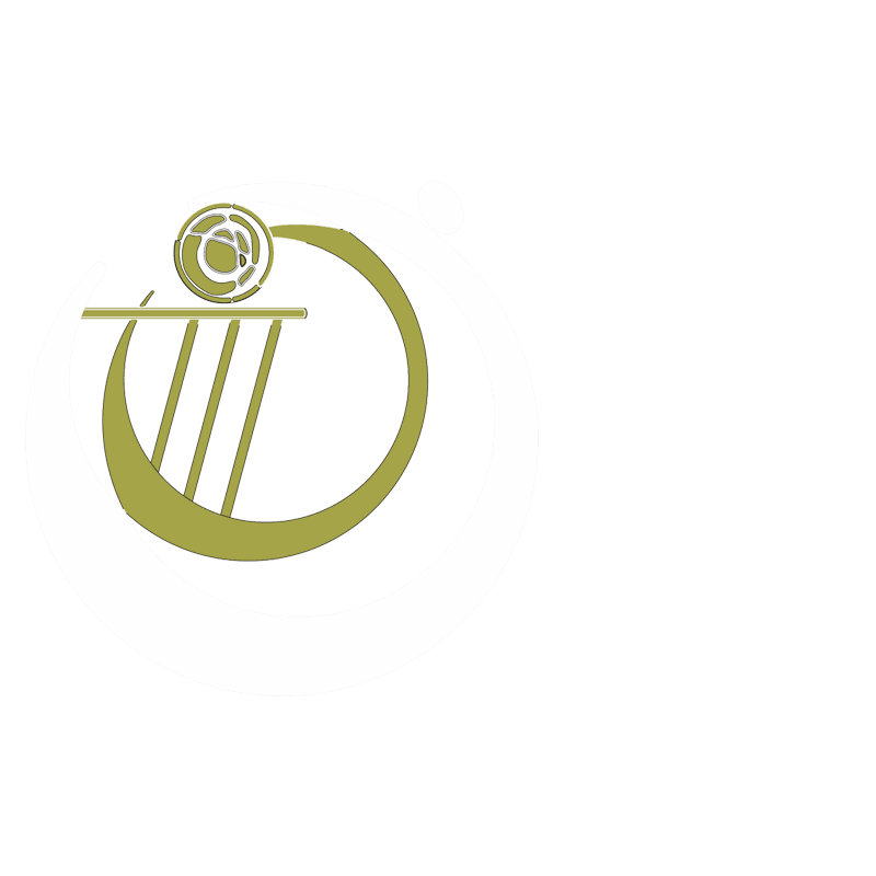 Logo Demo
